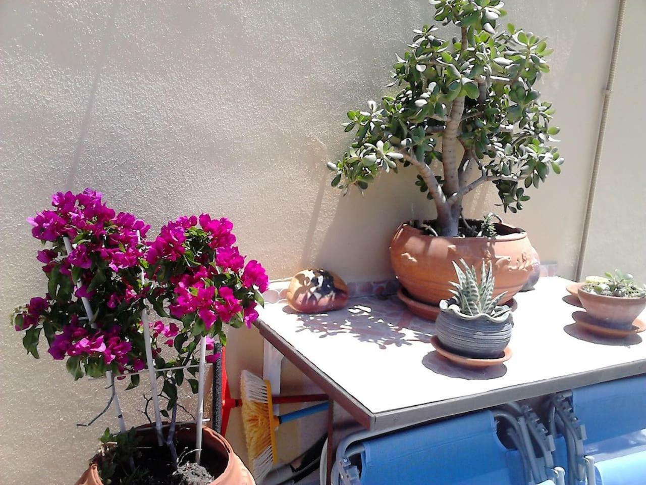Park House -Beside The Medieval Town Of Rhodes Rhodes City Екстер'єр фото